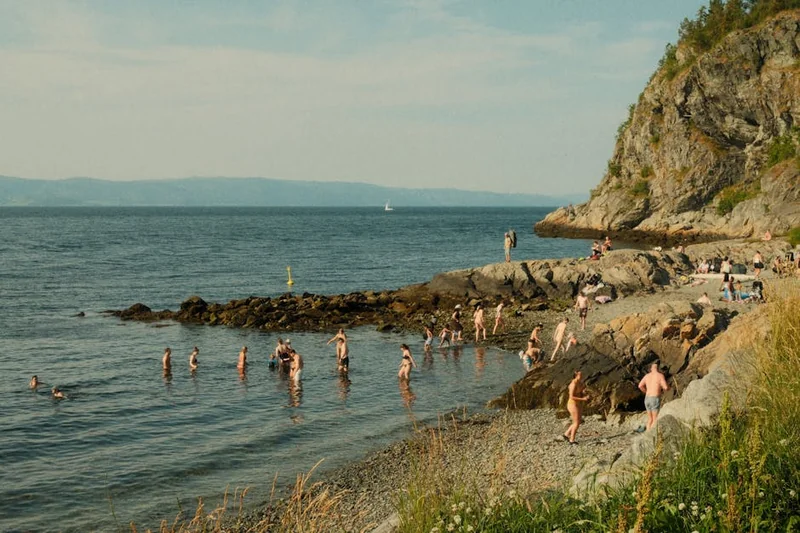 사회적 기업 지원금