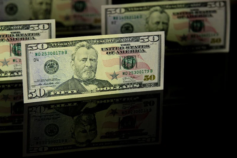 정부 보증 대출